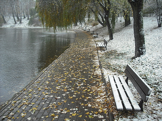 Warszawa. Pierwszy nieg w Parku Szczliwickim.