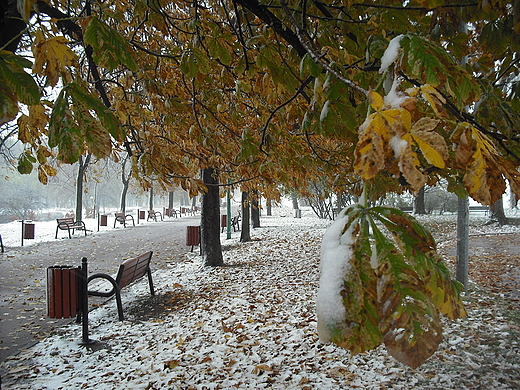 Warszawa. Pierwszy nieg w Parku Szczliwickim.