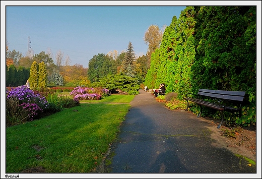 Pozna - Ogrd Botaniczny Uniwersytetu im. A. Mickiewicza