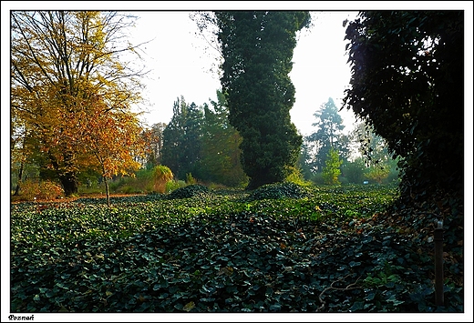 Pozna - Ogrd Botaniczny Uniwersytetu im. A. Mickiewicza