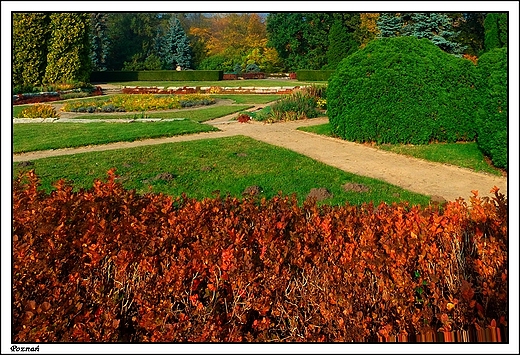 Pozna - Ogrd Botaniczny Uniwersytetu im. A. Mickiewicza