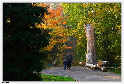 Pozna - Ogrd Botaniczny Uniwersytetu im. A. Mickiewicza