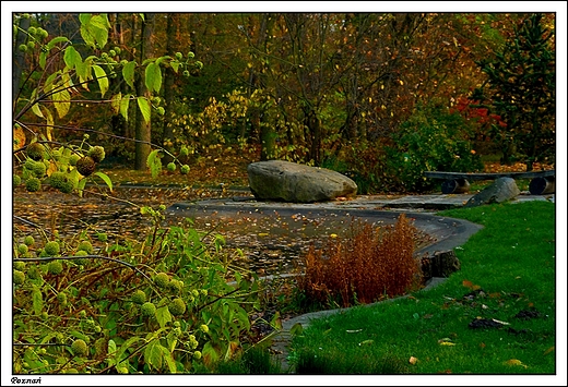 Pozna - Ogrd Botaniczny Uniwersytetu im. A. Mickiewicza