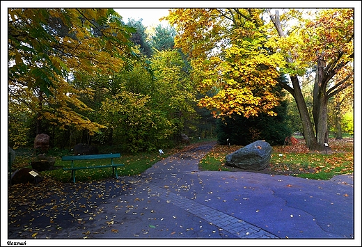 Pozna - Ogrd Botaniczny Uniwersytetu im. A. Mickiewicza