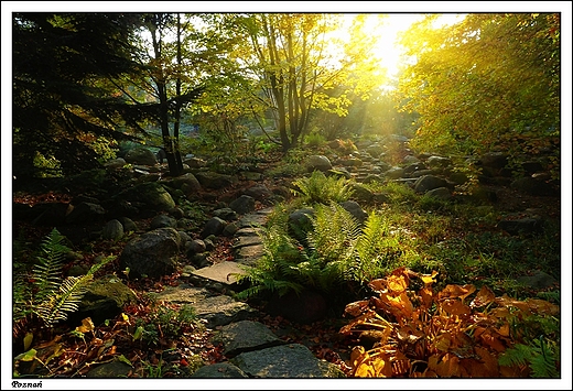 Pozna - Ogrd Botaniczny Uniwersytetu im. A. Mickiewicza