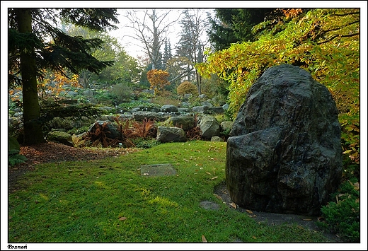 Pozna - Ogrd Botaniczny Uniwersytetu im. A. Mickiewicza