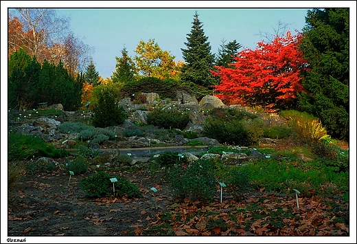 Pozna - Ogrd Botaniczny Uniwersytetu im. A. Mickiewicza