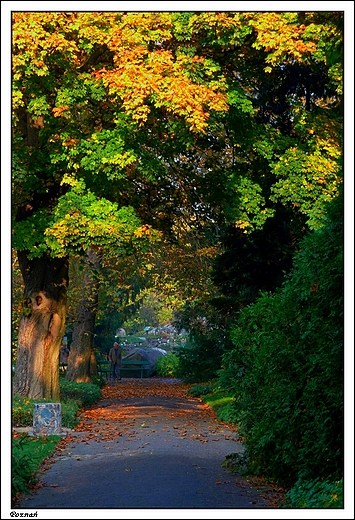 Pozna - Ogrd Botaniczny Uniwersytetu im. A. Mickiewicza