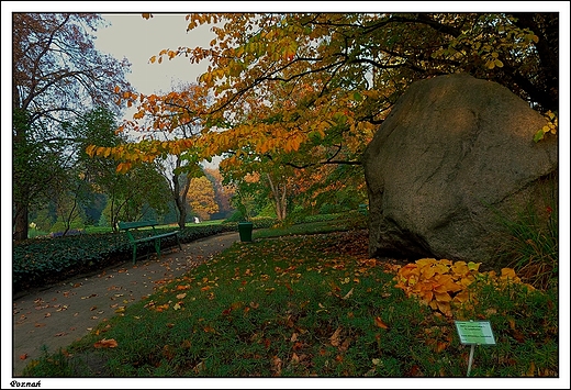 Pozna - Ogrd Botaniczny Uniwersytetu im. A. Mickiewicza