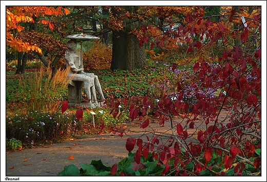 Pozna - Ogrd Botaniczny Uniwersytetu im. A. Mickiewicza