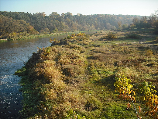 Kosewko. Jesie nad Wkr.