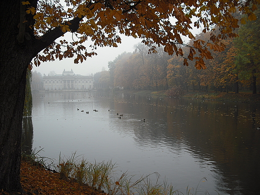 Warszawa. Jesie w azienkach.