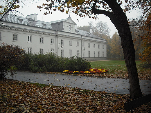 Warszawa. Jesie w azienkach.