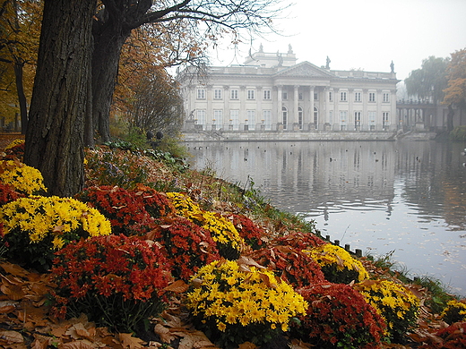 Warszawa. Jesie w azienkach.