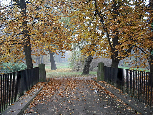 Warszawa. Jesie w azienkach.