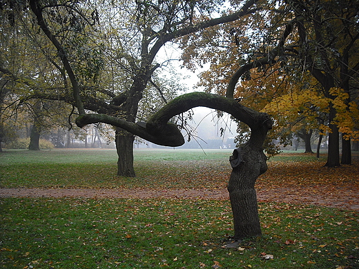 Warszawa. Jesie w azienkach.