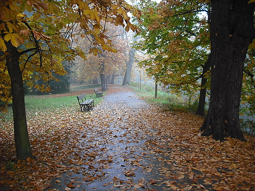 Warszawa. Jesie w azienkach.