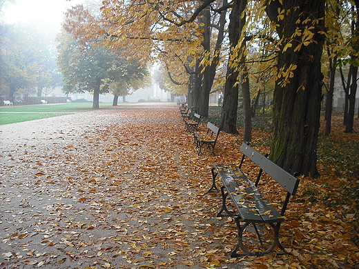 Warszawa. Jesie w azienkach.