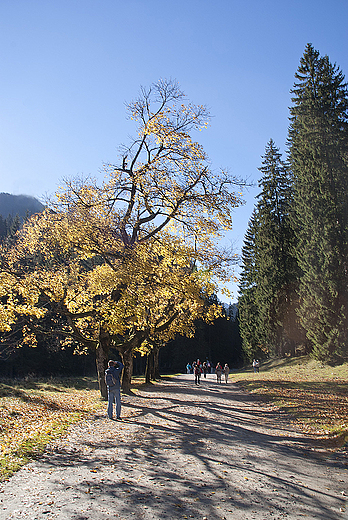 Tatrzaskie szlaki.