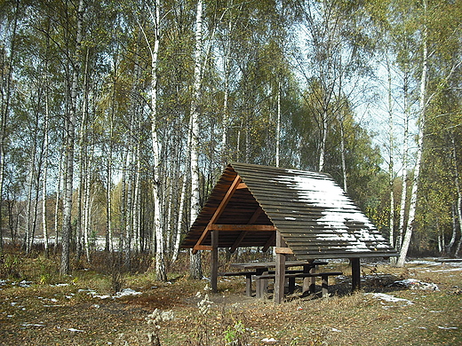 Puszcza Kampinoska. Polana Opale.