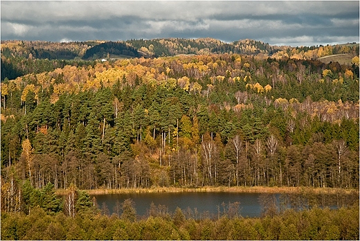 Jesienna Suwalszczyzna - jezioro Gulbin.