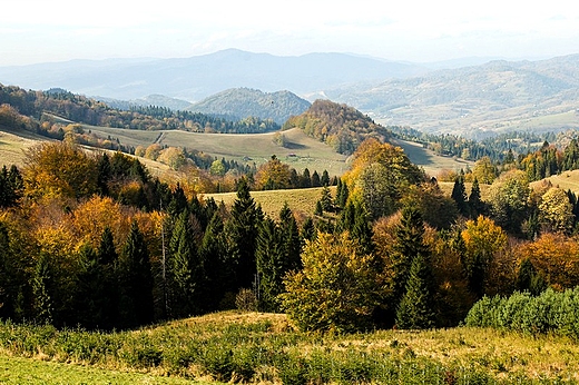 Widok z pod Wysokiej