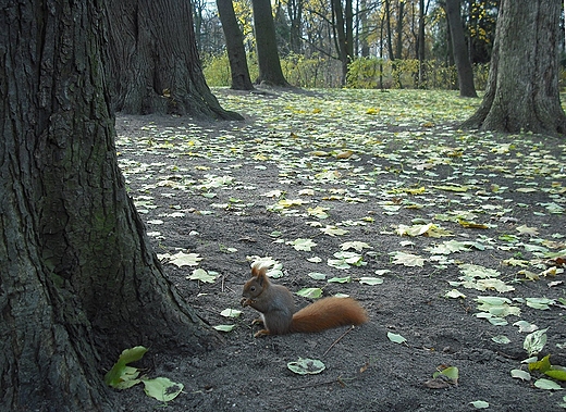 Warszawa. Niedziela w azienkach.