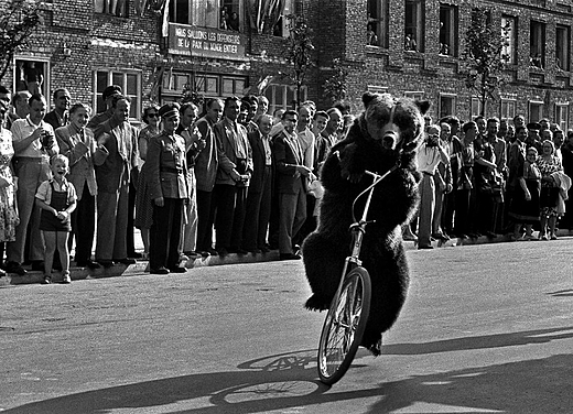 Warszawa. wiat Sawnego. Wystawa w Domu Spotka z Histori.