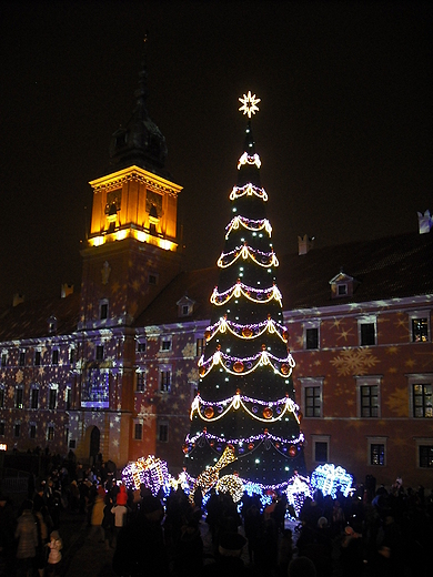 Warszawa ju witeczna. Choinka przed Zamkiem Krlewskim.