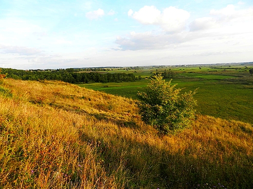 Widok ze Skarpy Dobuaskiej