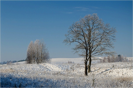 Suwalszczyzna w zimowej szacie.