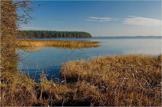 Jezioro Wigry - zatoka Supiaska.