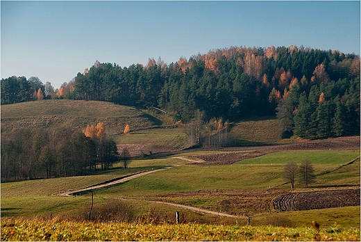 Suwalszczyzna - droga do opuchowa.