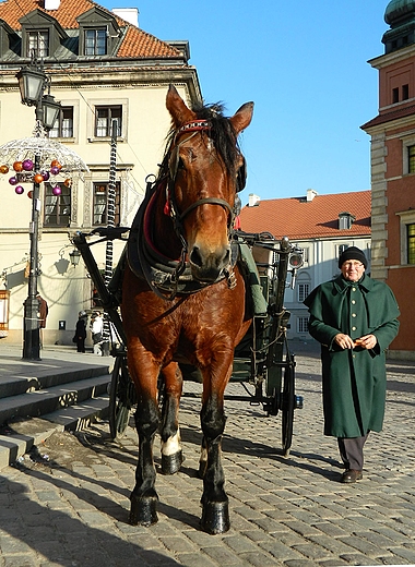 Warszawa. Dorokarz na Starwce.