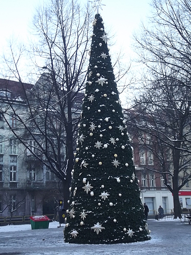 Choinka na Pl. Miarki w Katowicach