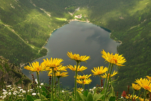 Morskie Oko