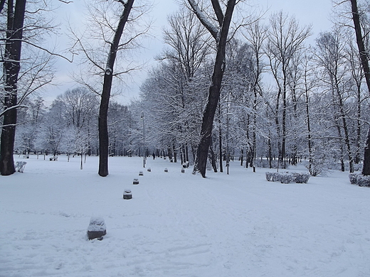 Park Kociuszki w Katowicach