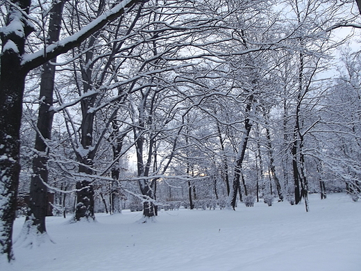 Park Kociuszki w Katowicach