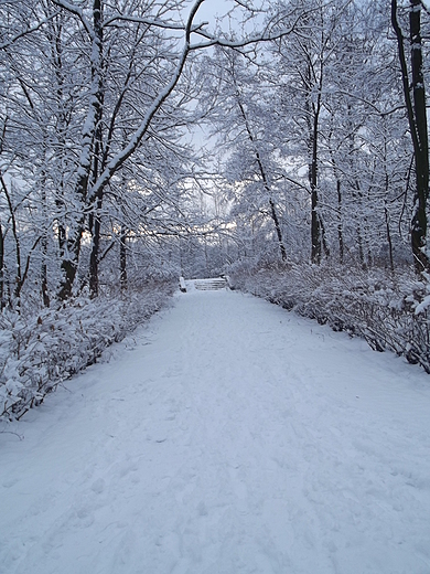 Park Kociuszki w Katowicach