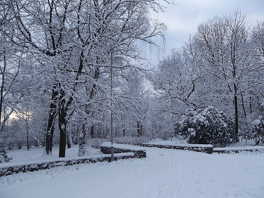 Park Kociuszki w Katowicach