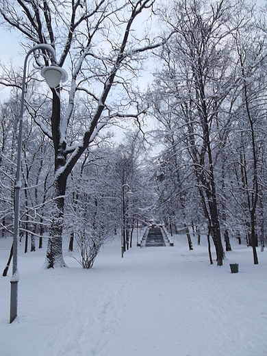 Park Kociuszki w Katowicach