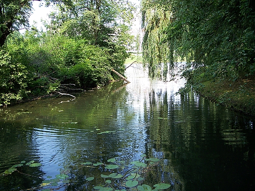 Park Skaryszewski.