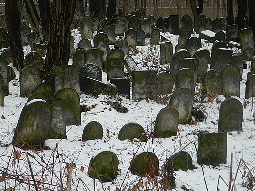 Warszawa. Cmentarz ydowski.