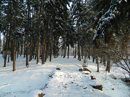 Warszawa. Park Skaryszewski zim.