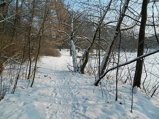 Warszawa. Park Skaryszewski zim.