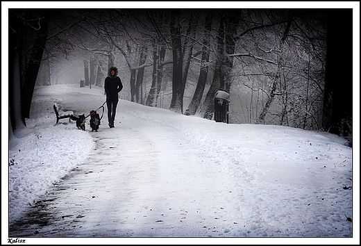 Kalisz - Park Miejski