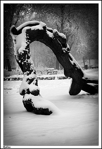 Kalisz - Park Miejski