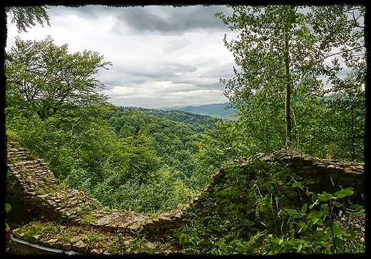 Gra Zamkowa - zamek Pieniny