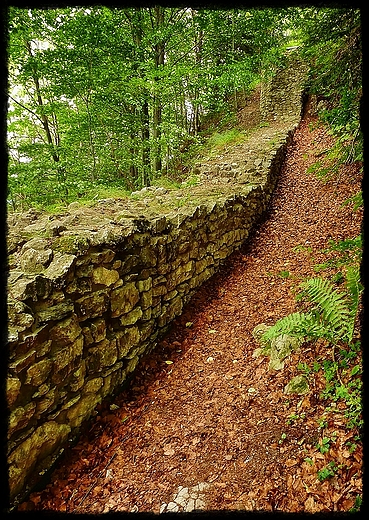 Gra Zamkowa - zamek Pieniny