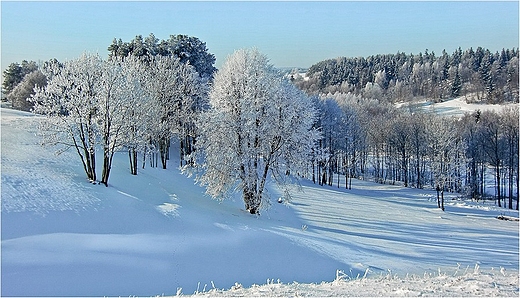 Suwalski Park Krajobrazowy pod niegiem.